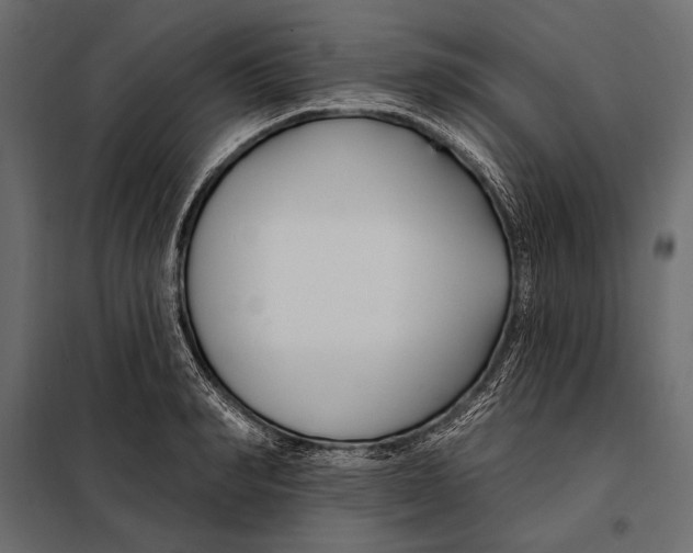 X0000098030990200804251411