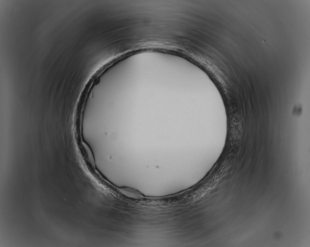 X0000098030991200804251410