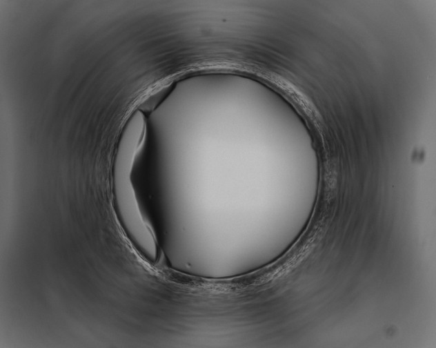 X0000098030993200804251410