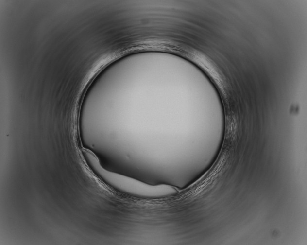 X0000098030994200804251410