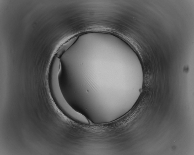 X0000098030995200804251410