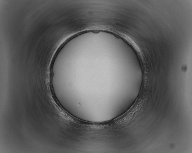 X0000098030996200804251410