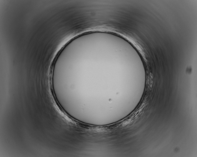 X0000098030998200804251410