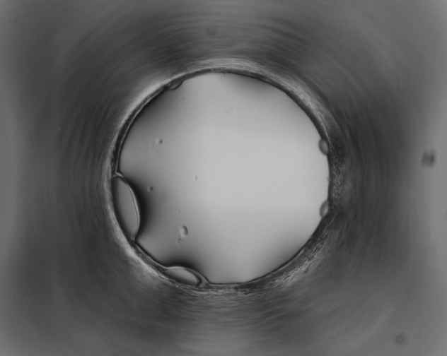 X0000098030999200804251410