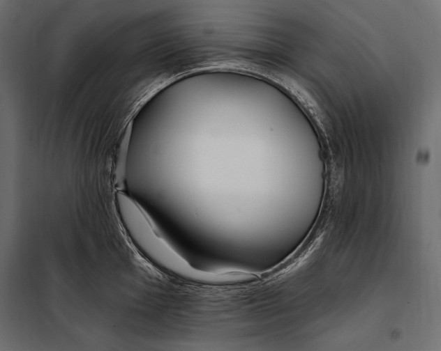 X0000098031001200804251410