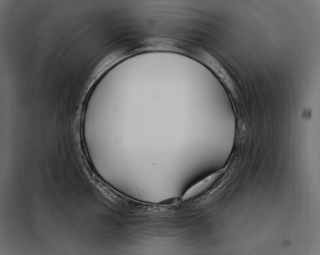 X0000098031002200804251410