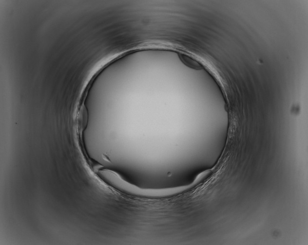 X0000098031003200804251410