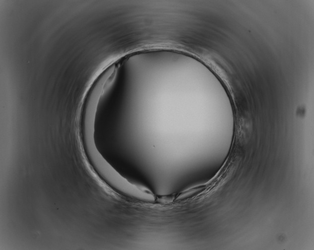 X0000098031005200804251410