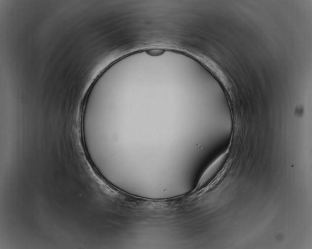 X0000098031006200804251410