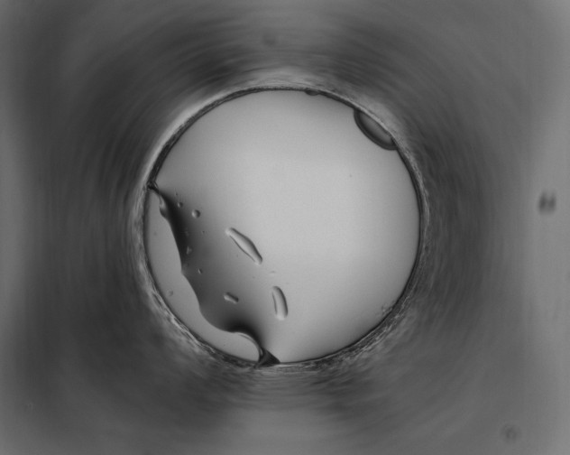 X0000098031008200804251410