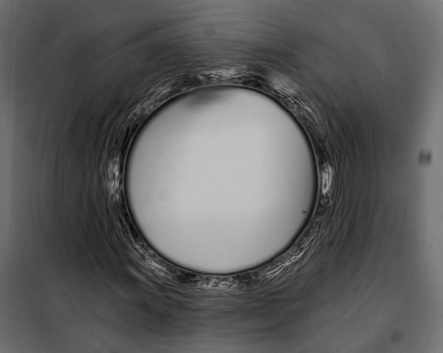 X0000098031011200804251410