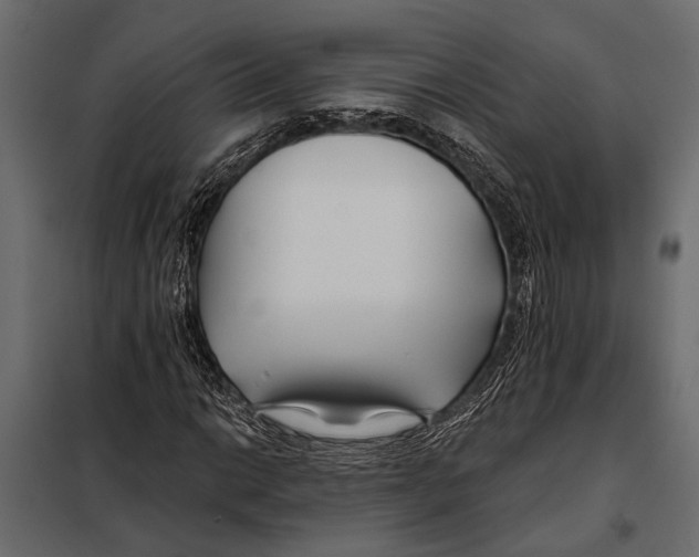 X0000098031014200804251410