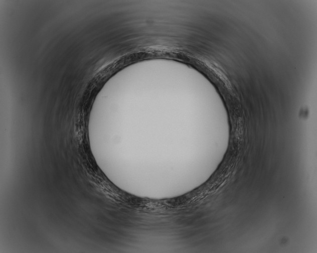 X0000098031015200804251410