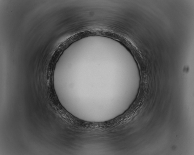 X0000098031016200804251410