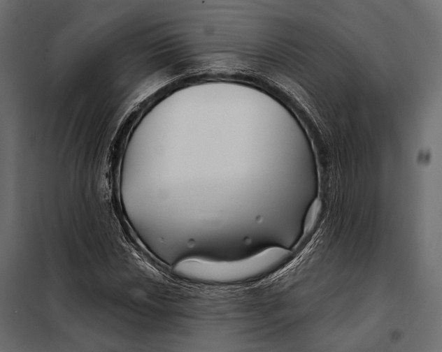 X0000098031018200804251410