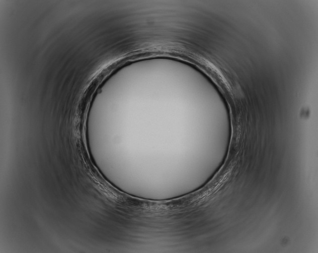 X0000098031019200804251410