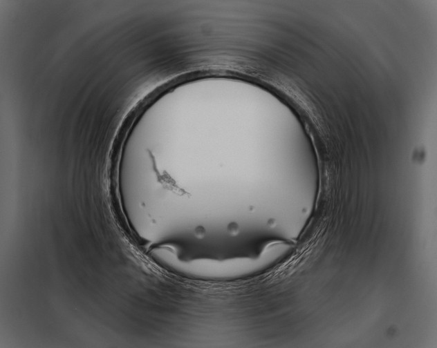 X0000098031020200804251410