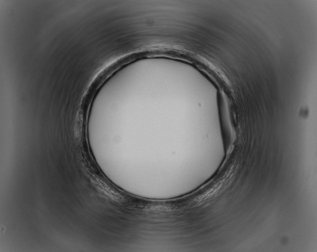 X0000098031021200804251410