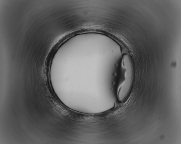 X0000098031022200804251410