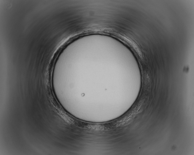 X0000098031023200804251410