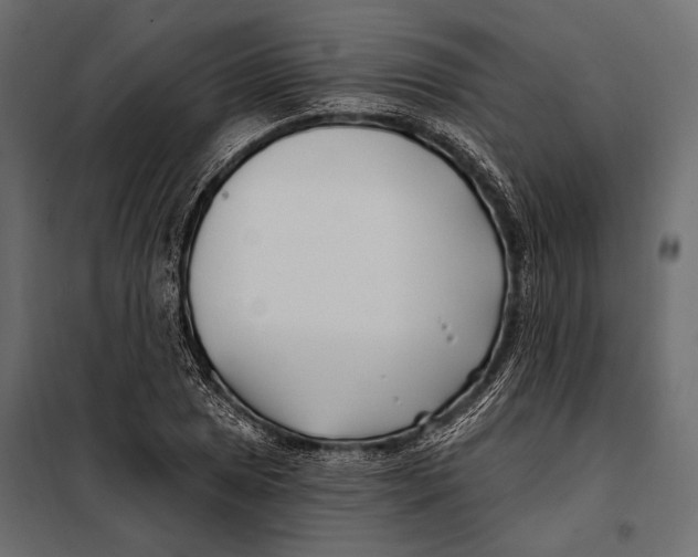 X0000098031025200804251410