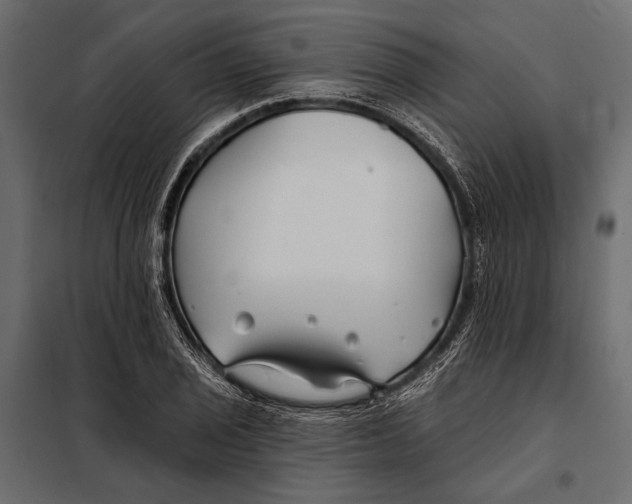 X0000098031029200804251410