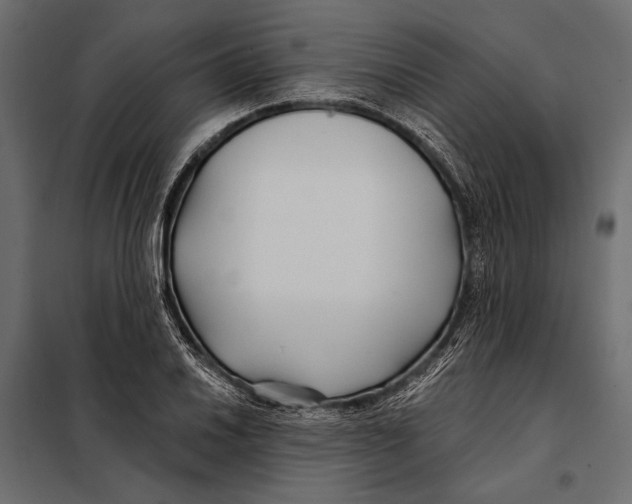 X0000098031030200804251410