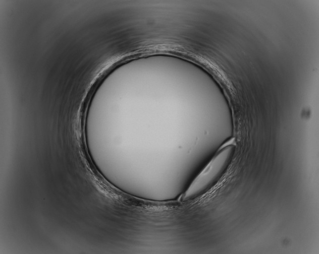 X0000098031031200804251410