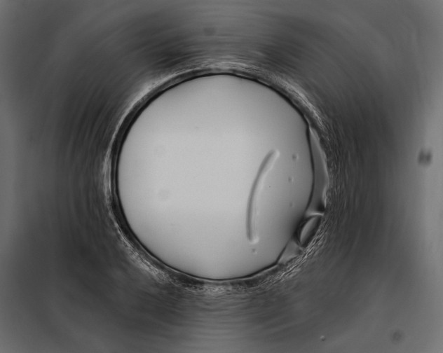 X0000098031032200804251410