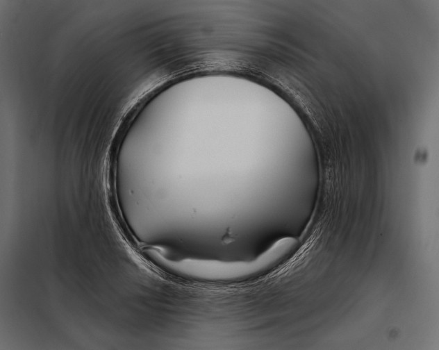 X0000098031034200804251410