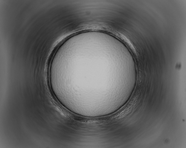 X0000098031035200804251410