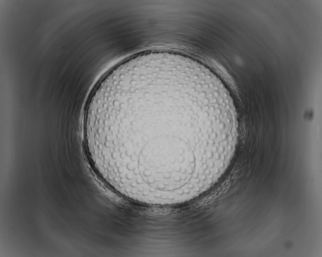 X0000098031036200804251410