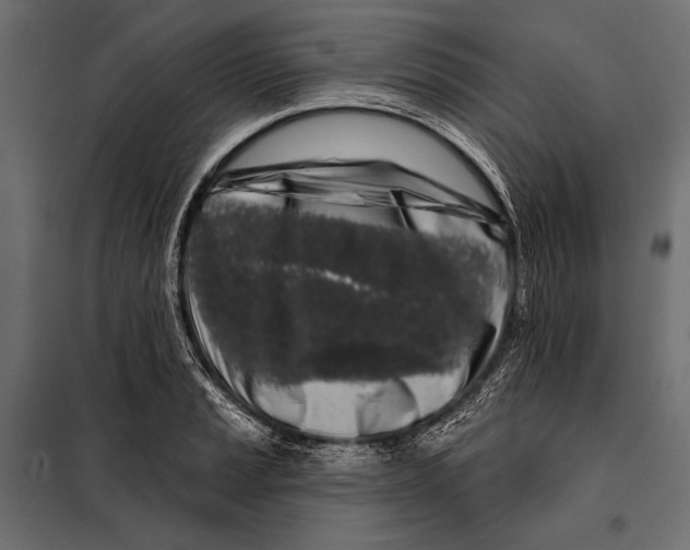 X0000098031037200804251410