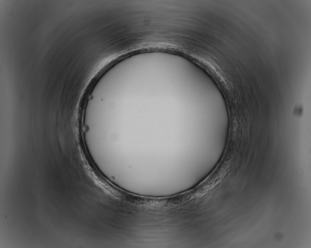 X0000098031038200804251410