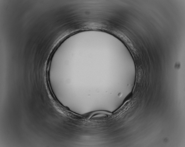 X0000098031039200804251410