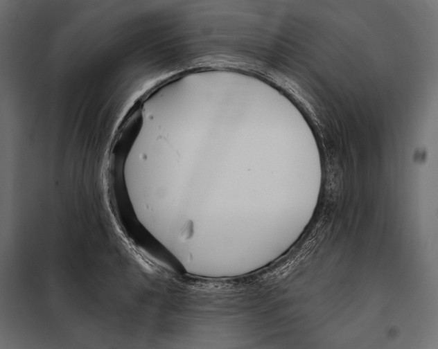 X0000098031040200804251410