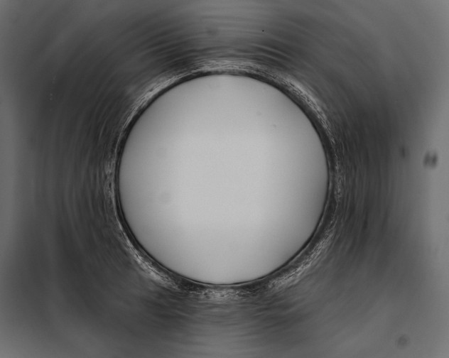 X0000098031041200804251410