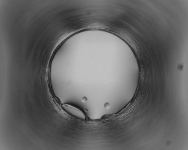 X0000098031044200804251410