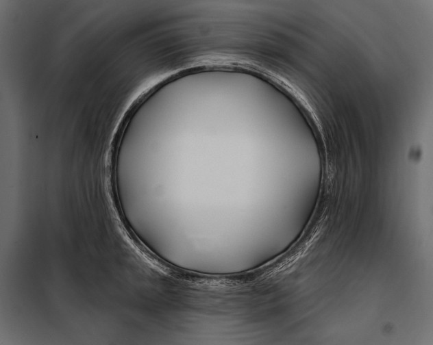 X0000098031045200804251410