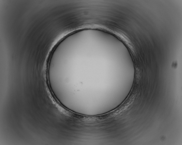 X0000098031046200804251410