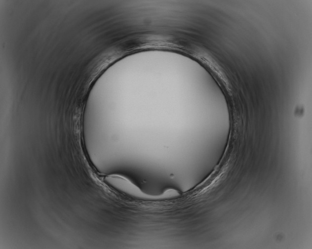 X0000098031049200804251410