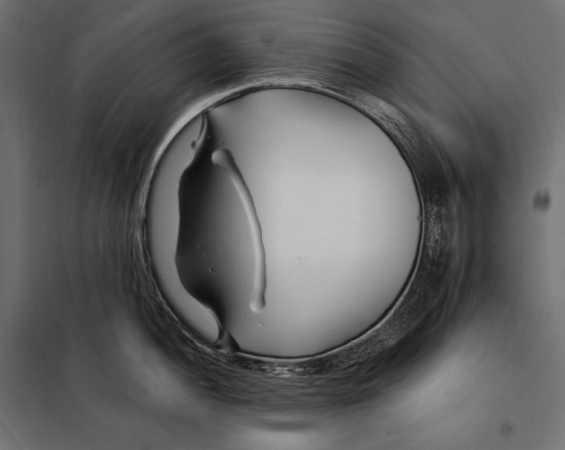 X0000098031052200804251410