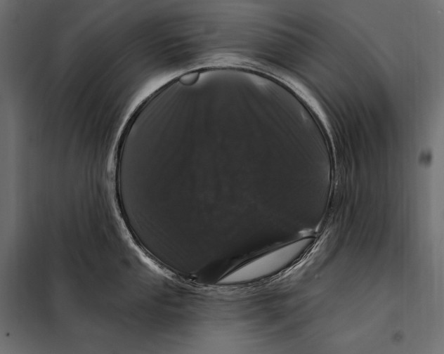 X0000098031053200804251410