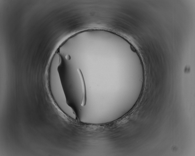 X0000098031056200804251410