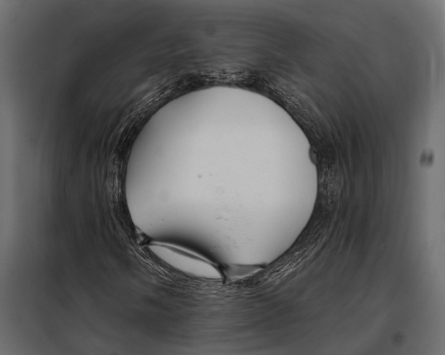 X0000098031058200804251410