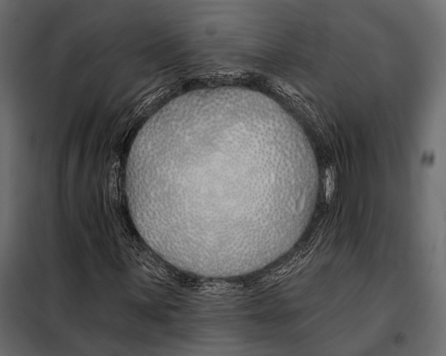 X0000098031059200804251409