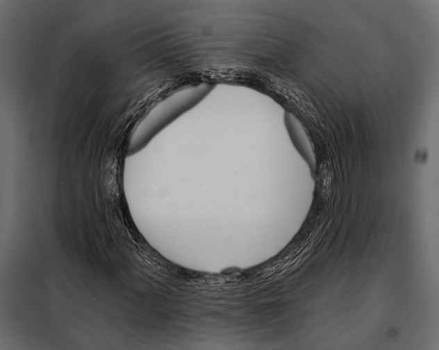 X0000098031060200804251409