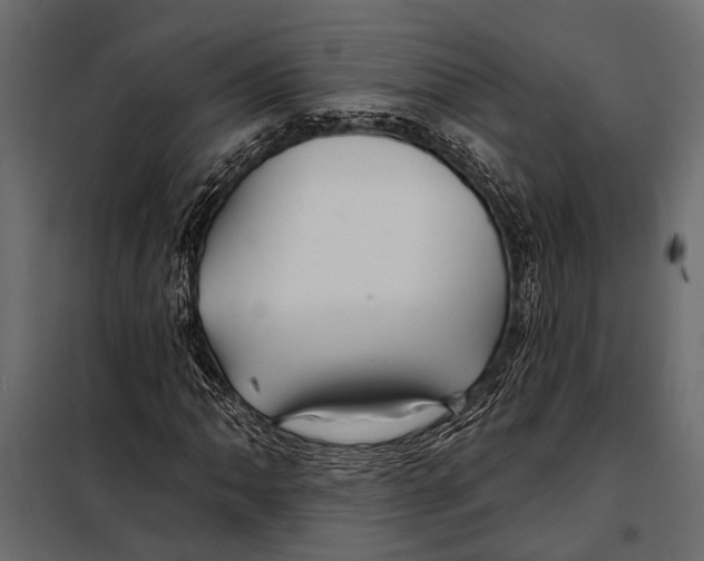 X0000098031062200804251409