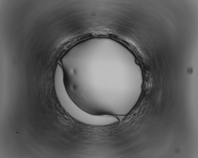 X0000098031063200804251409