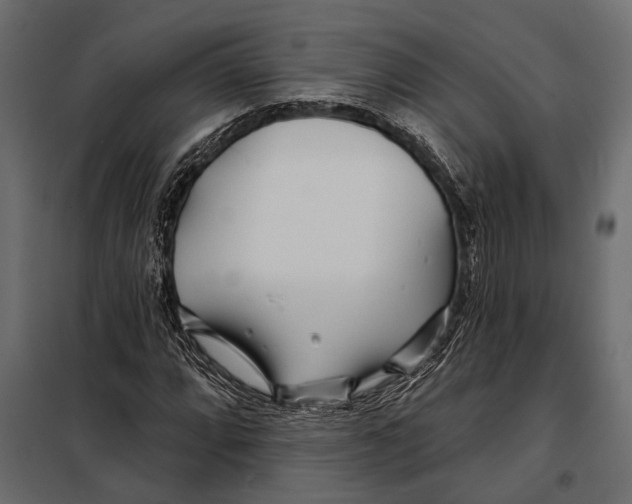 X0000098031064200804251409